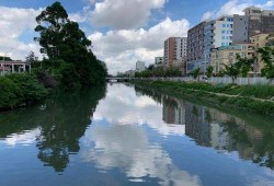 澄海违建最新爆料,揭秘背后惊人真相