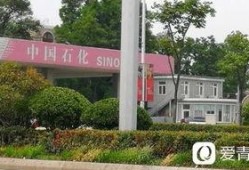 重庆王先生爆料最新,揭秘某神秘事件背后真相